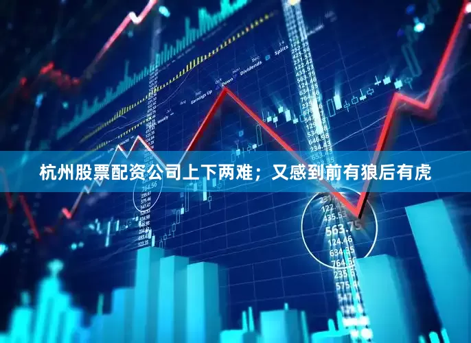 杭州股票配资公司上下两难；又感到前有狼后有虎