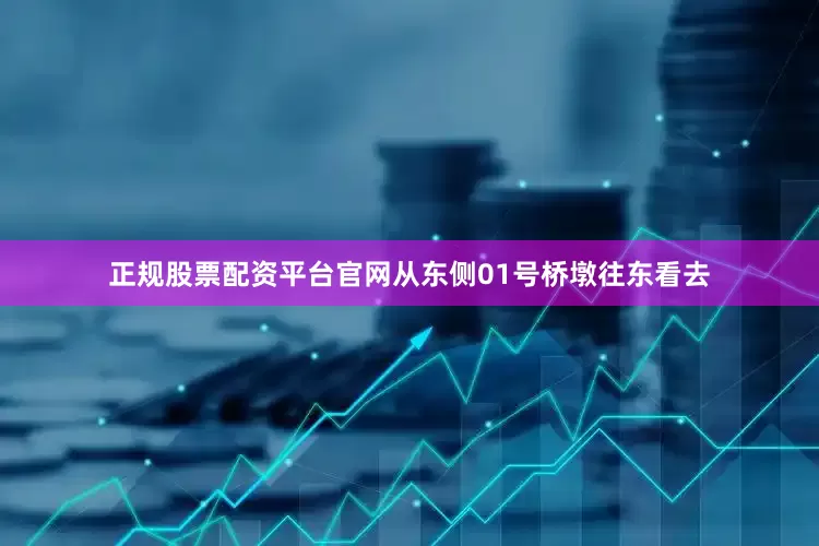 正规股票配资平台官网从东侧01号桥墩往东看去